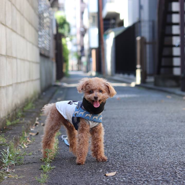 F8af50f0 0fde 46ed 8ec6 ab396de16508 1558841732404