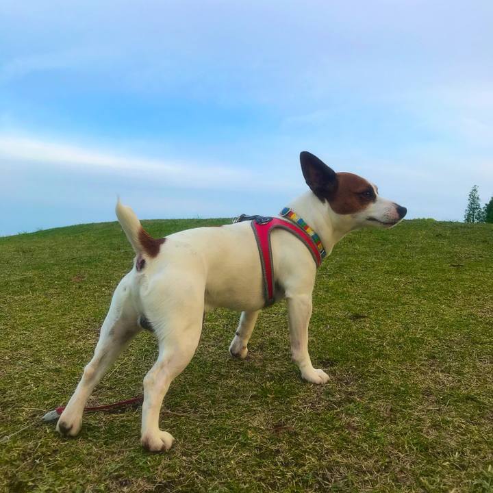 F8af69d0 4b61 4014 a5fe 8bca09c3dde0 1524769754624