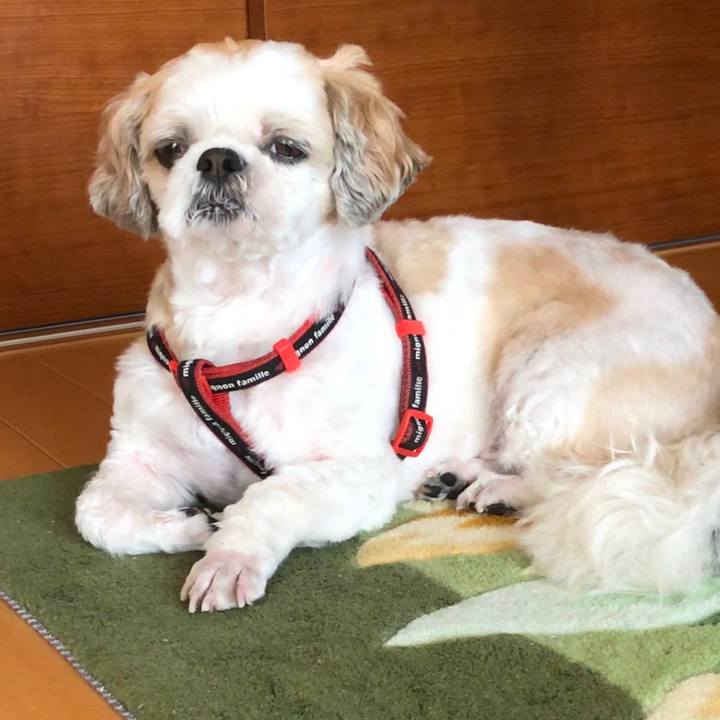 F8af6da8 5ddf 4ad9 9b64 670c222f89ab 1568151713643