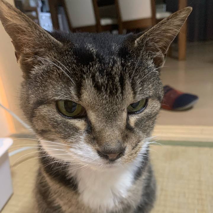 F8af7479 4b1a 49aa b620 10cb8ea9f7fa 1709430369476