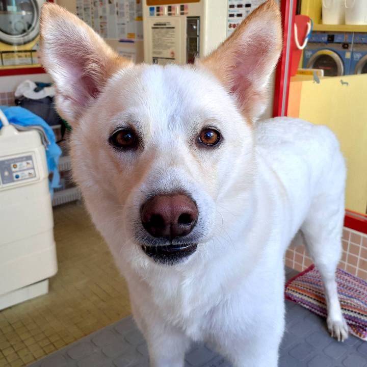 F8afab6f 57b0 42db 9def 15ed09545126 1634968801670