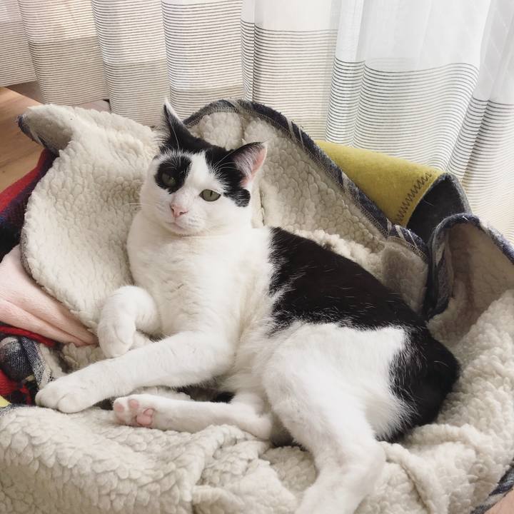 F8afb9b9 4dd5 4aab 952a 5e1eb3ea9f7d 1522652657454