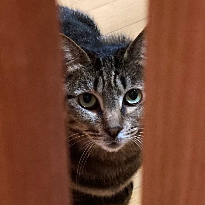 F8afdc94 dc67 481a 8709 f7791b17d8b6 1644559057227