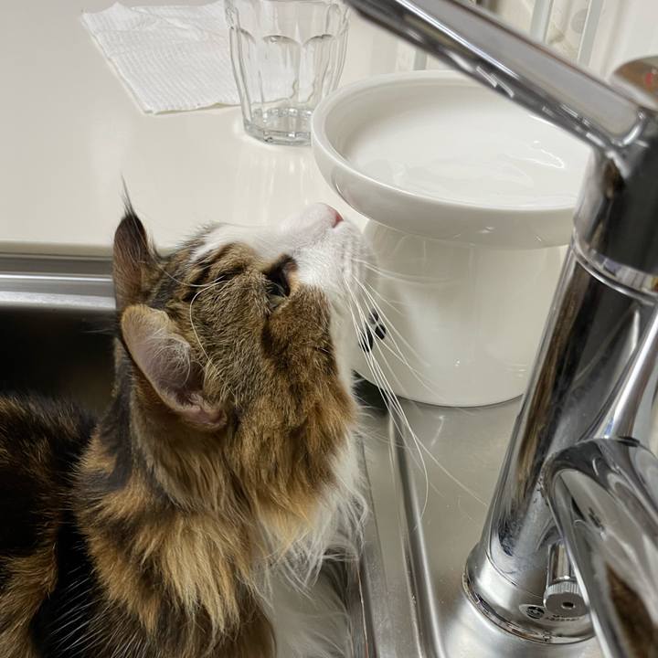 F8afdfd8 634f 4091 a5b3 a4c3df38ad26 1655926848962