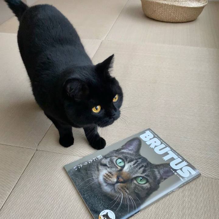 F8b00c10 70dd 451e 9903 db849cee0a94 1631856468681