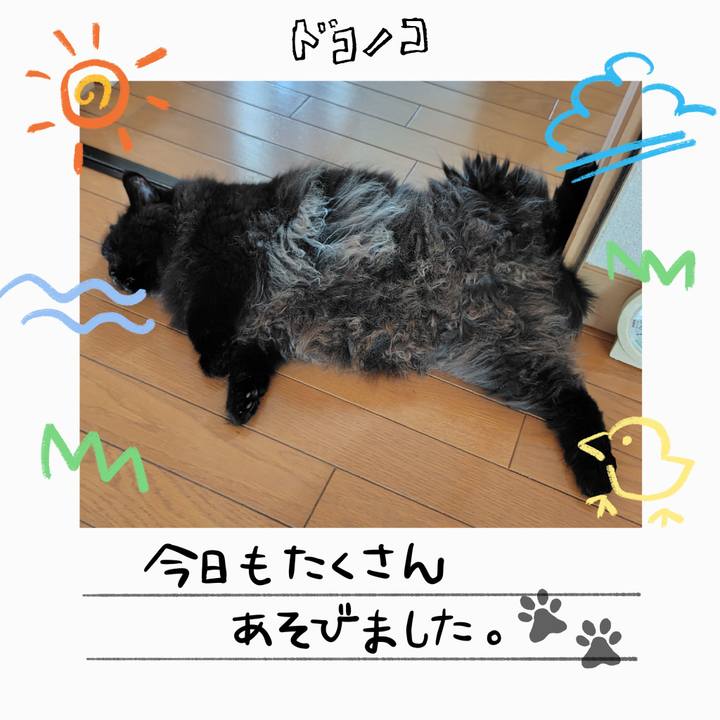 F8b01d55 fc16 4656 9977 3db2f4aeb307 1755218586539