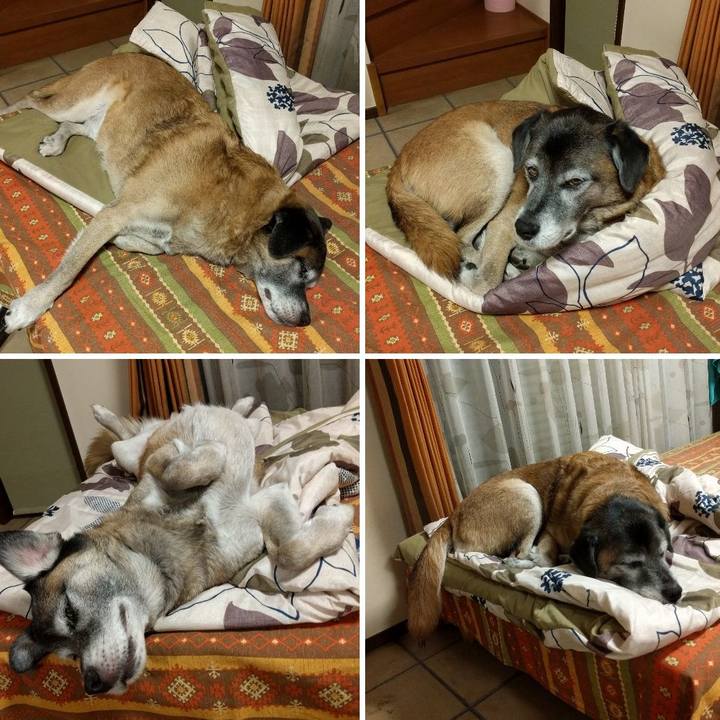 F8b03a4a c512 49b2 8a17 6f8e19581208 1542586146913