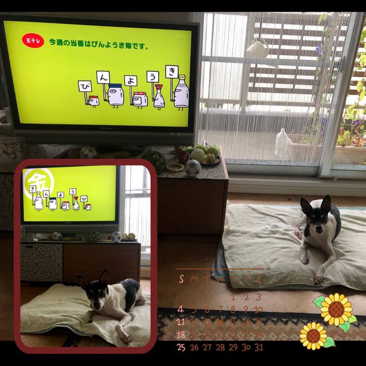 F8b03eea e13d 4502 a72c ab09eb5d711b 1567119366150