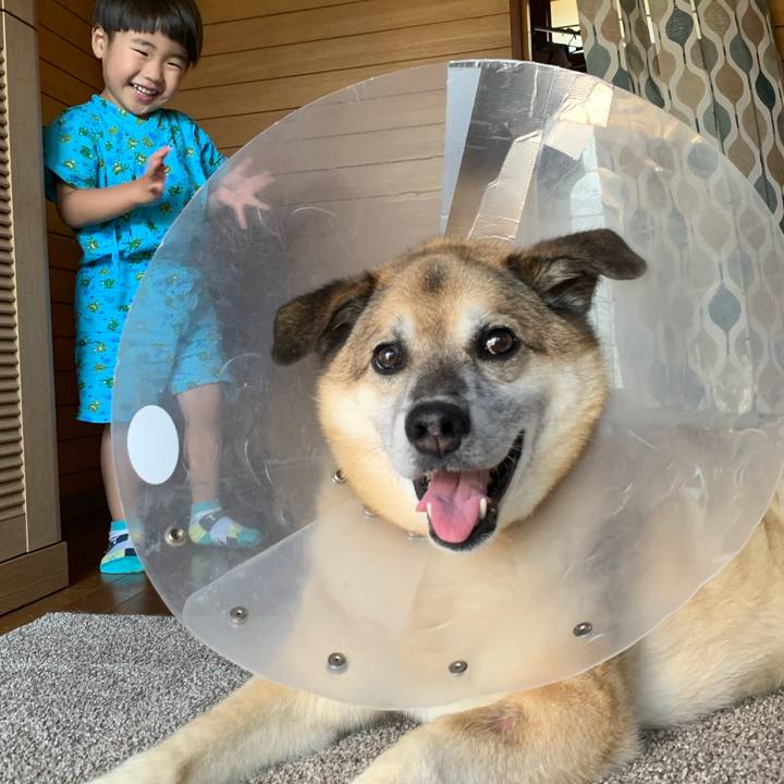 F8b04323 a80d 496c b876 9e4c5389dbd1 1626861998089