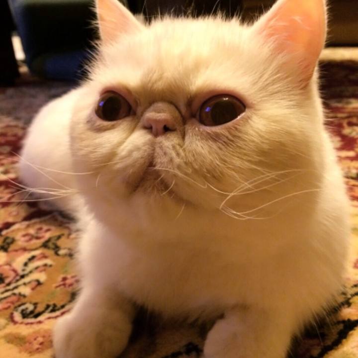 F8b05b97 7682 4c38 a180 b58997a85ec7 1513247440386