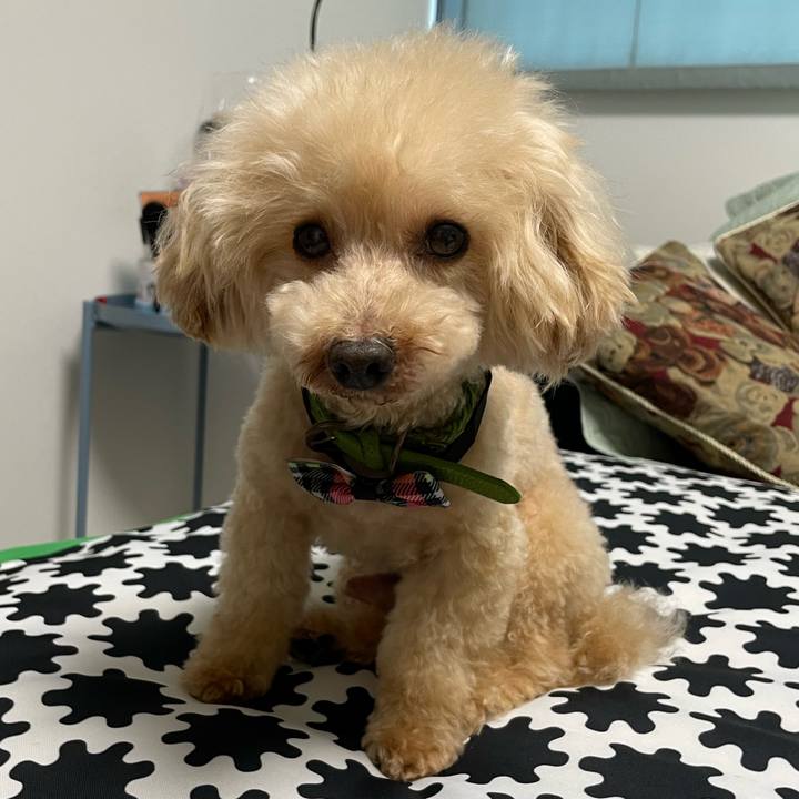 F8b0ceb8 83b4 4cda a16c 69cb3699ac3c 1661075287507