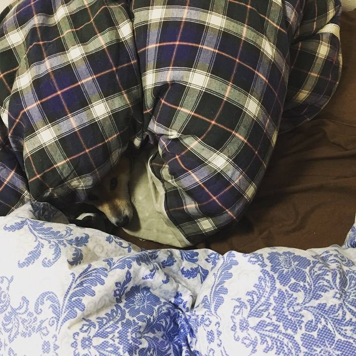 F8b1019f 7d19 4290 9f39 956467c8d468 1510664274559