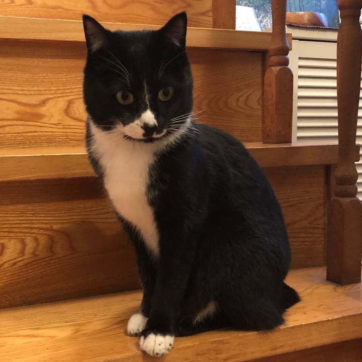 F8b16f3b 9b8e 4141 9049 e07cdcb530df 1555904370074