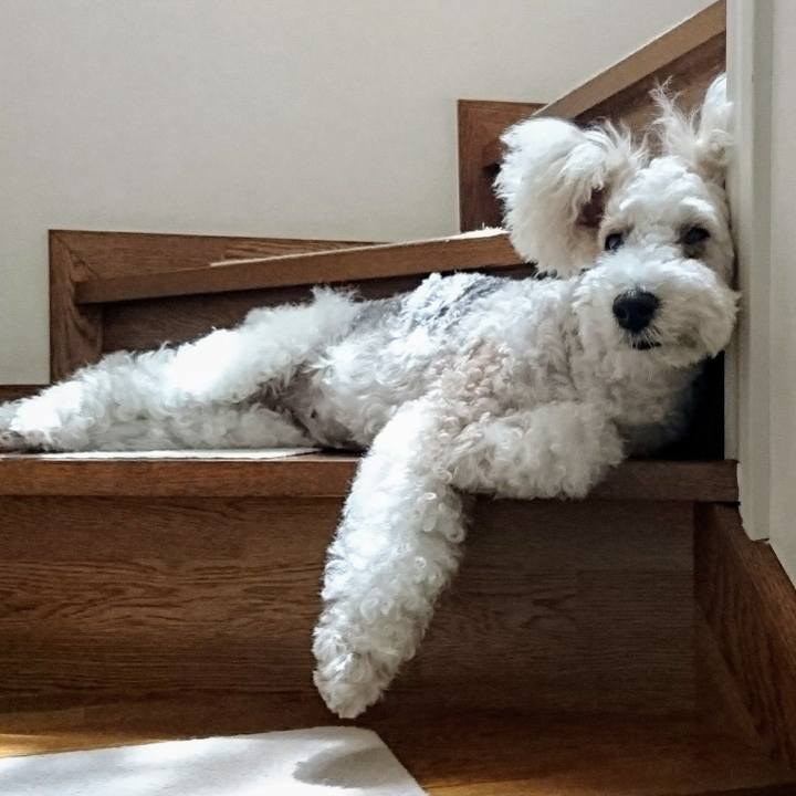 F8b18331 22ab 429a 86bc 469dc8b54d86 1597186358111