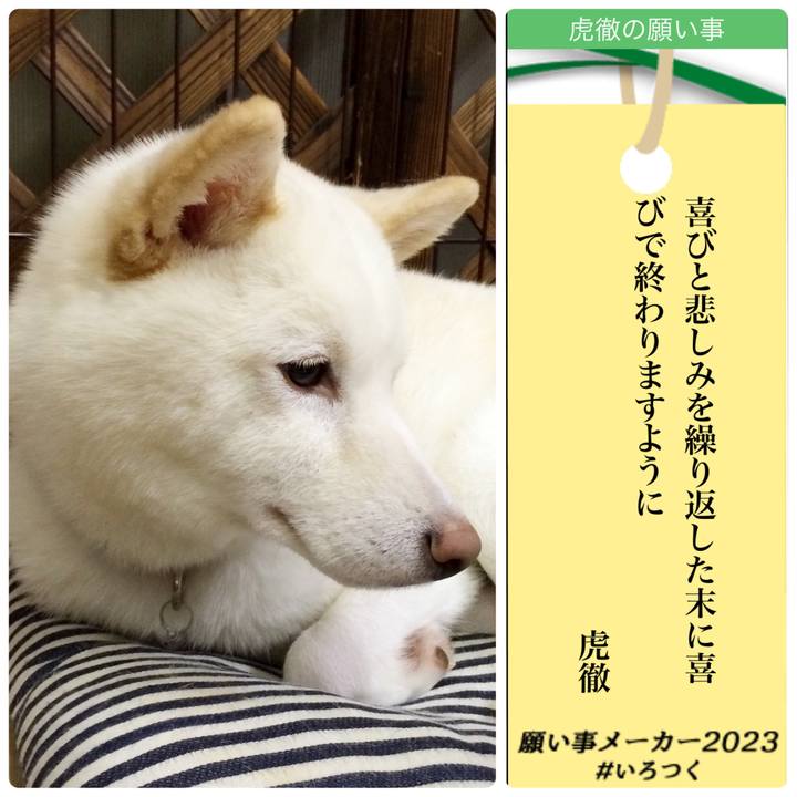 F8b19dd9 f50a 456d ba5c 1c5ca8c16a90 1688722486223