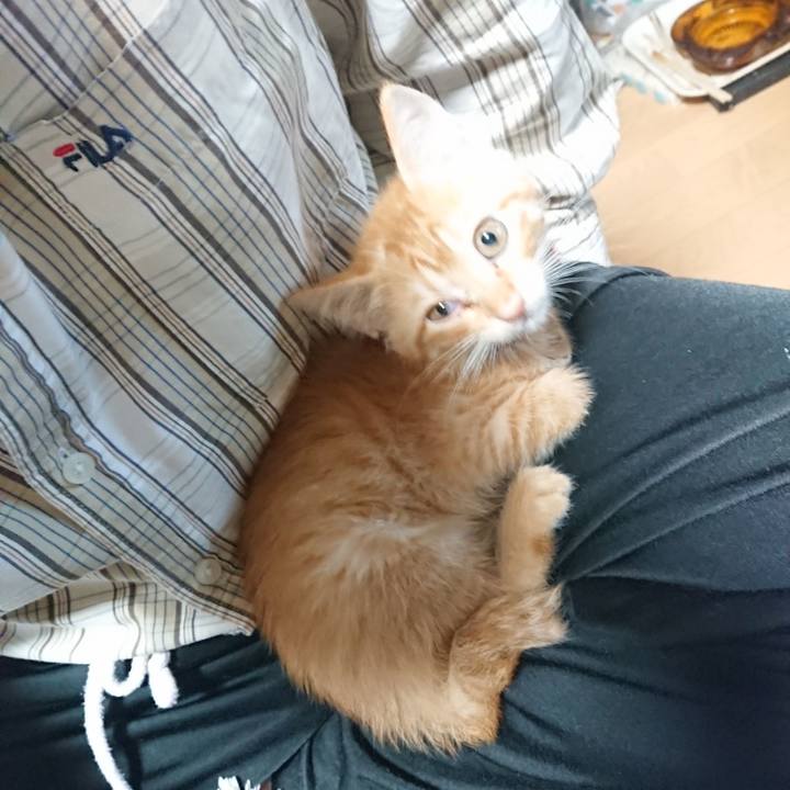 F8b1a414 16e1 4090 9a35 c8de8744d50e 1628800255226