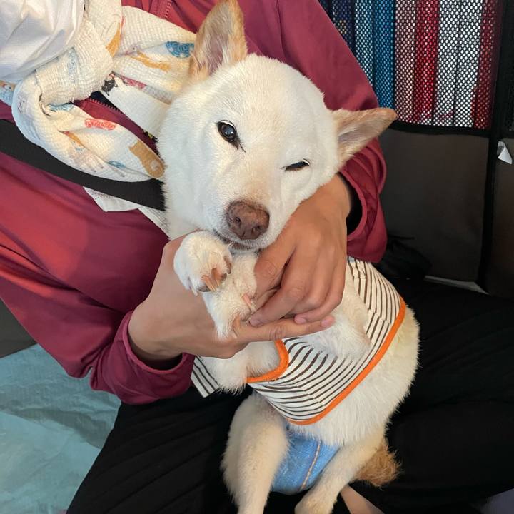 F8b1c8ce 8147 41b9 9ae7 e0a903a80909 1657205273700