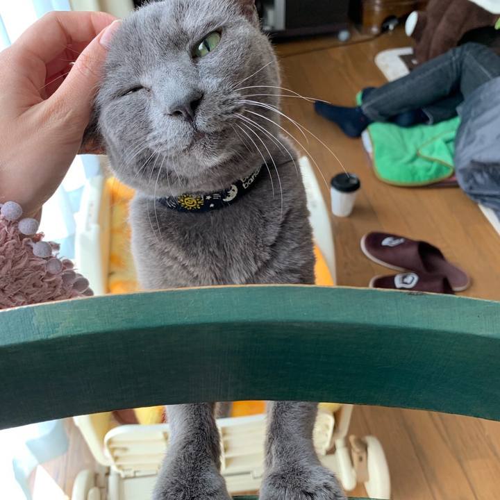 F8b1d2be 51a4 4166 8acb 8316e05c48e9 1550797217661