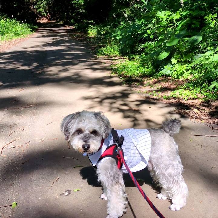 F8b1e176 69d9 4096 9a2a b2a70a10f02b 1753163951431