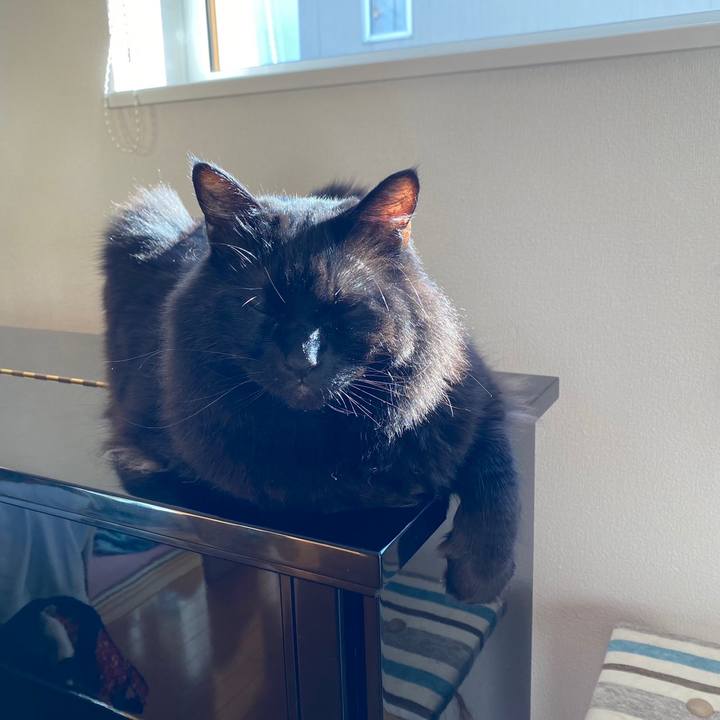 F8b2395e e382 4f6c ac6e dd4248e6904c 1636597750374