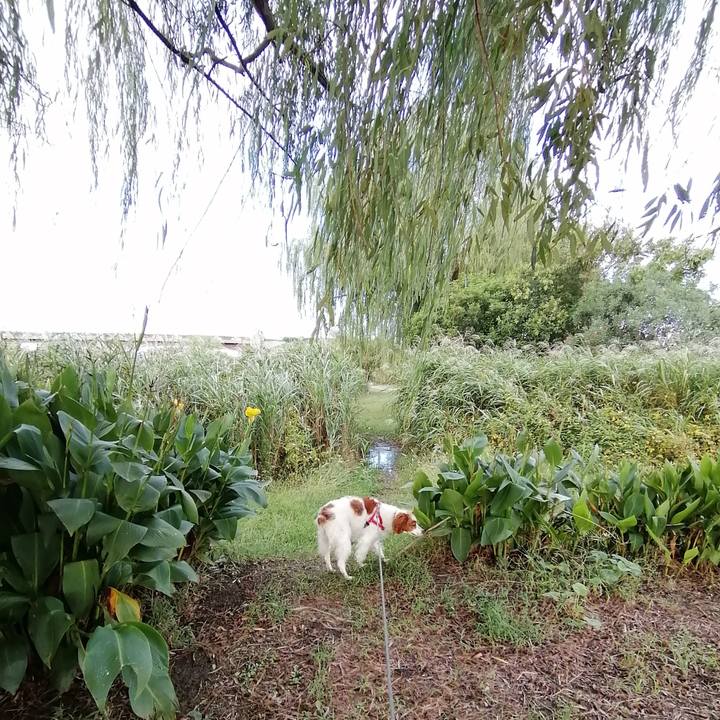 F8b27a0e 8fa6 47c3 84cf d91917d19708 1570944787055