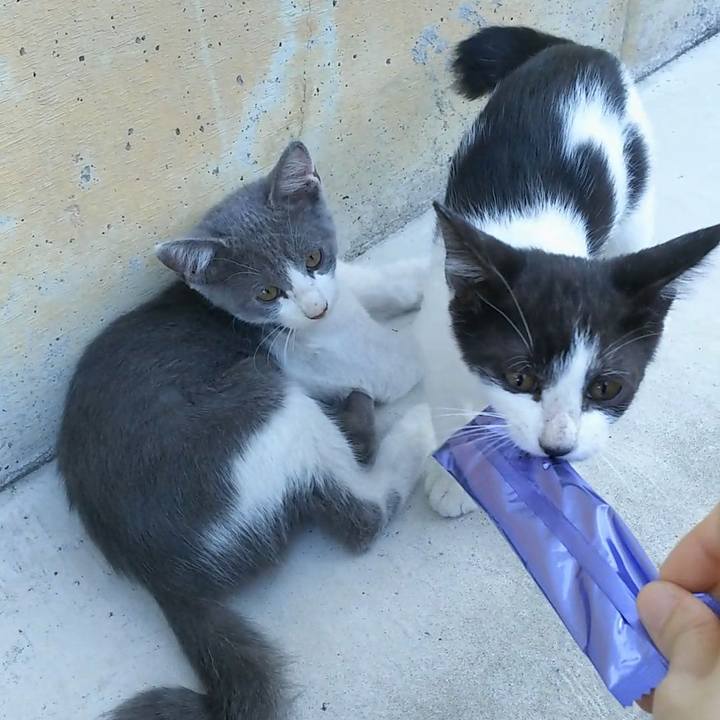 F8b27a25 e05a 4794 b0b0 5a8547d63b89 1556058312750