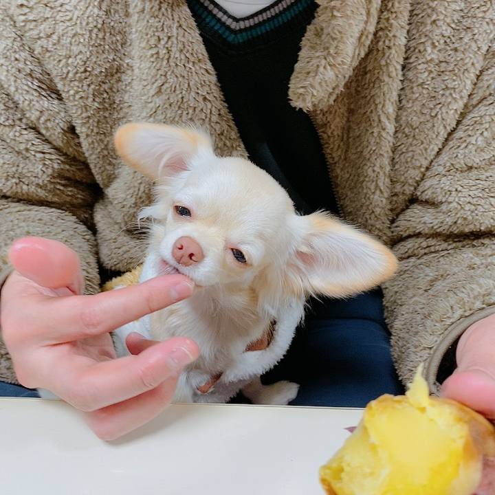 F8b27eb8 d035 4543 9570 4a4189a8ce8a 1609585589665