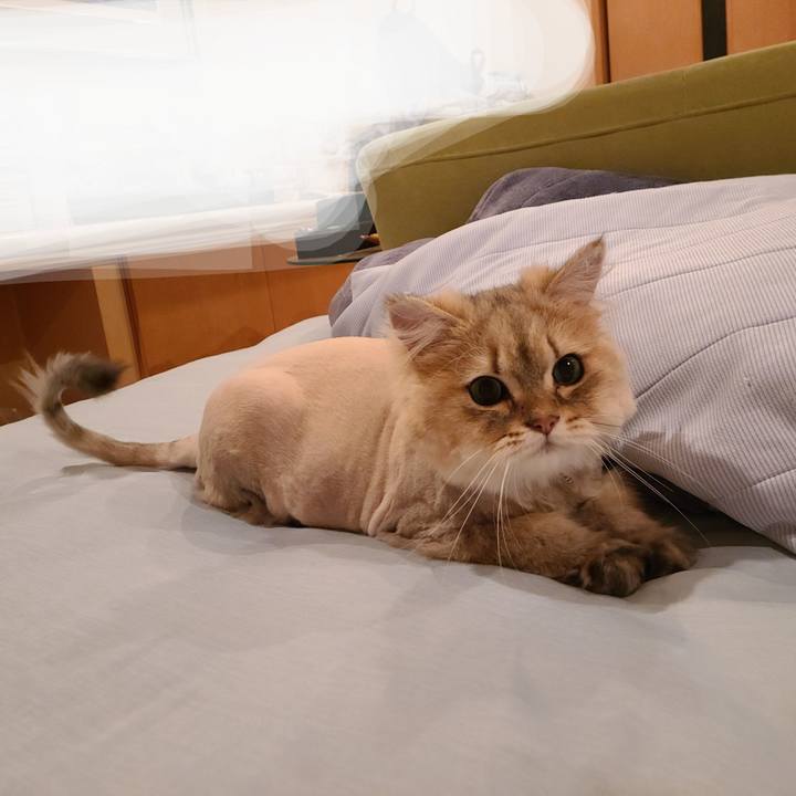 F8b2982b d54b 4484 923d 4f3de3acc483 1623101211257