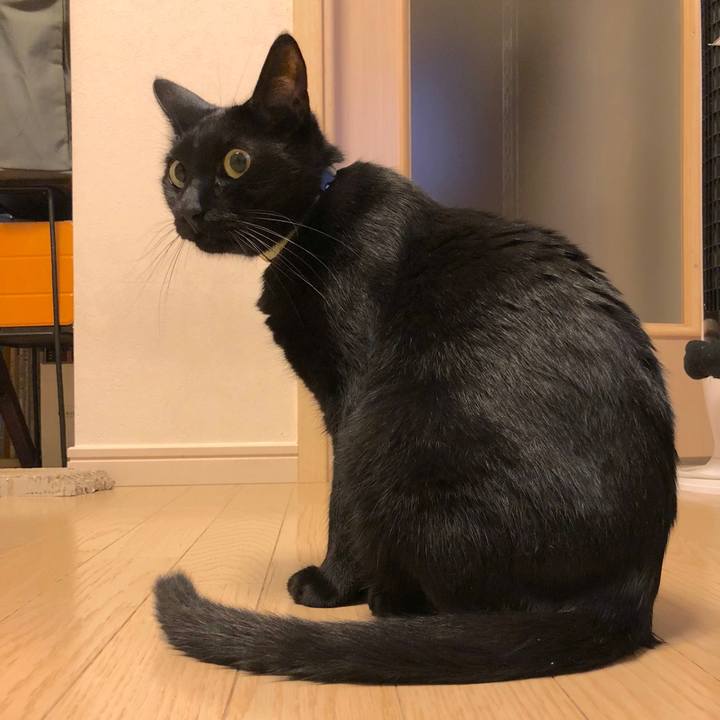 F8b2d356 4031 4301 bb6e 000b95551f4a 1538656957464