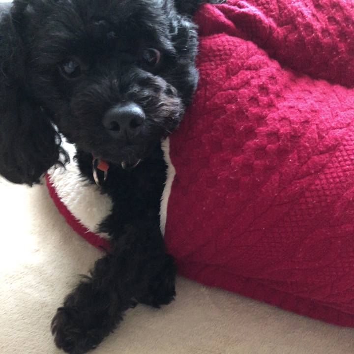 F8b2f5a5 5a7b 4cfd 9552 0df420e0ee06 1533300836554