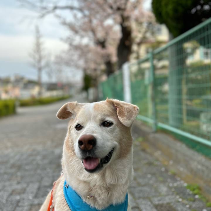 F8b307bd 0125 4890 ad5d dcac7bef734d 1680243503711