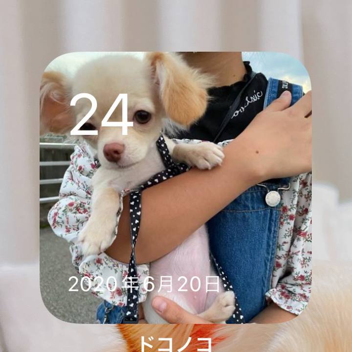 F8b31032 2471 497f aac8 0ecfffb3a6be 1656072866402