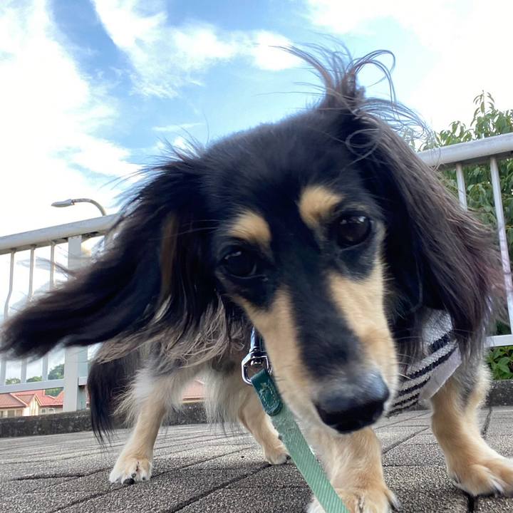 F8b3120f 2fa9 422a 9846 5a6ad2d5e2a7 1721775040297