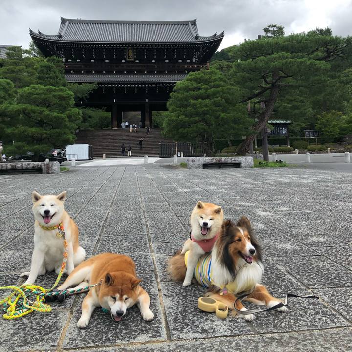 F8b3250a d25d 4977 a430 80745e47c13b 1594537438905