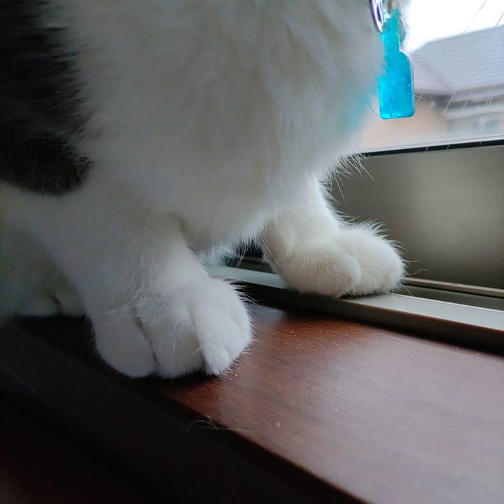 F8b3297e 91fe 4982 ac8a fc6302ded0e9 1707007341147