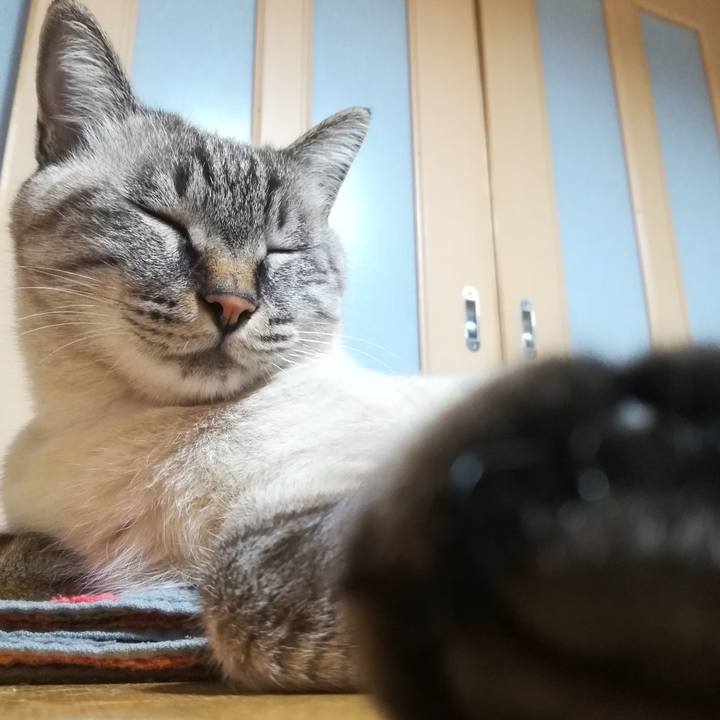 F8b339f5 6e45 4a28 807a d04d494829c6 1572345430838