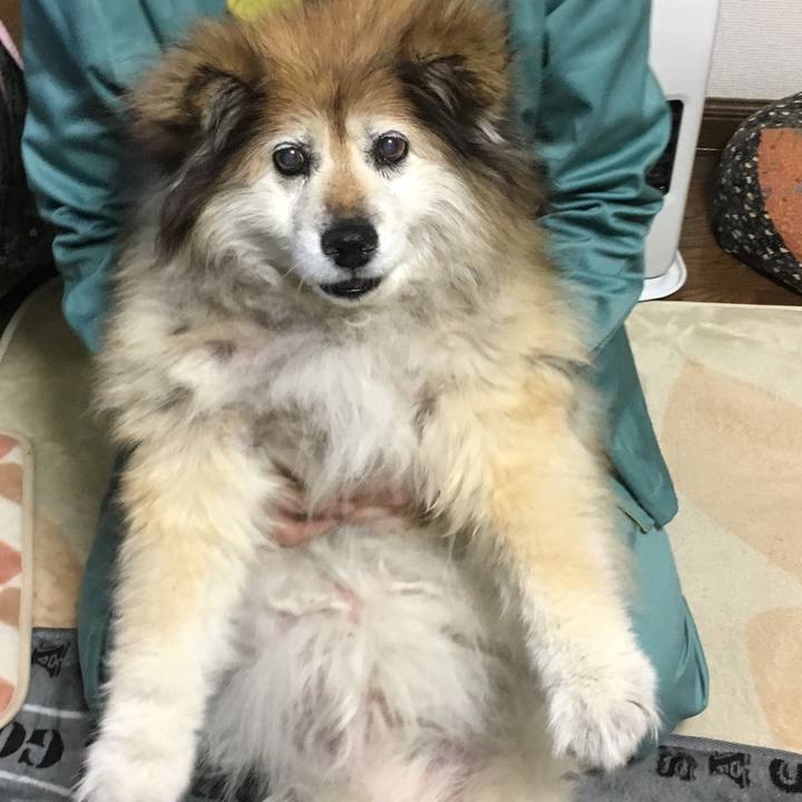 F8b348ec 0413 4916 85a3 42f594f1c03b 1583269520816