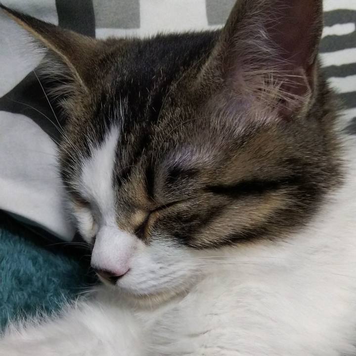 F8b3569a c7a9 47fb 91bf 9021e062e9c3 1614427871378