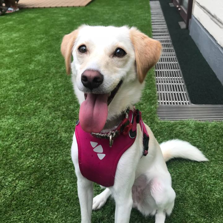 F8b3822c 774c 4541 82b6 f84cbb4db4a4 1535877951480