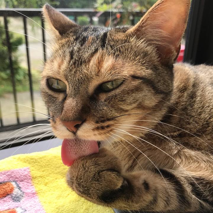 F8b39fd7 bd08 4b5d a105 48cdfbb0514f 1592182217381