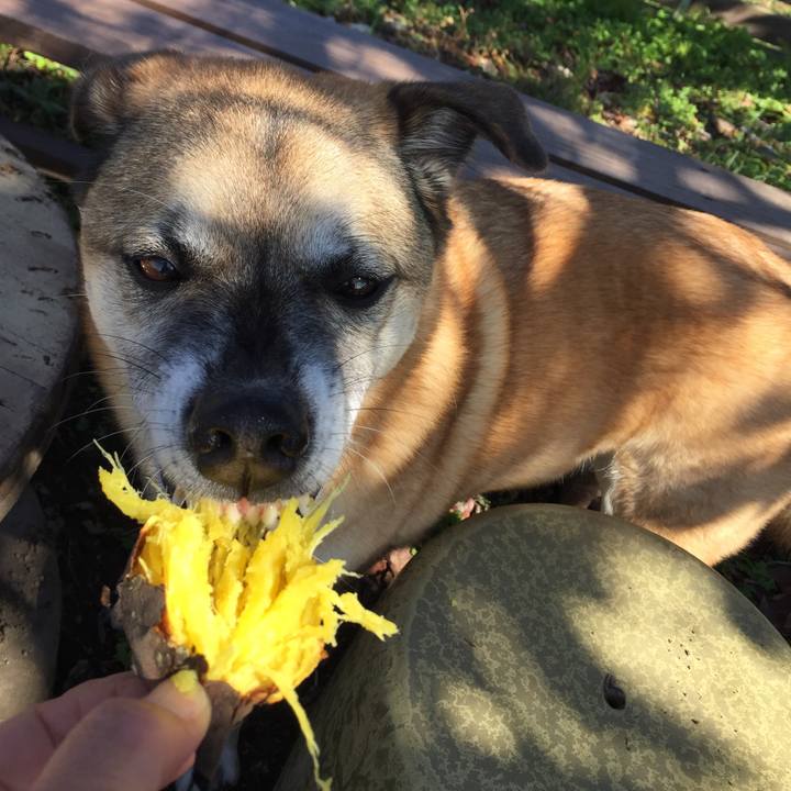 F8b3b0e4 777e 4167 ab9b c95a337ac865 1509508055727