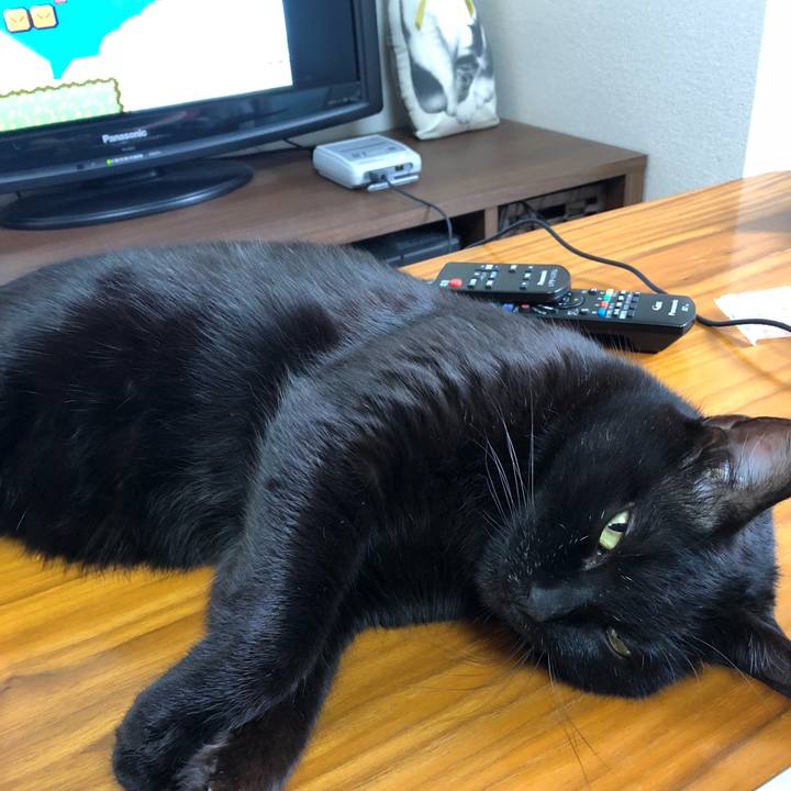 F8b3ed65 1e3a 4d66 bd3e 39c78b58c15d 1513404285702