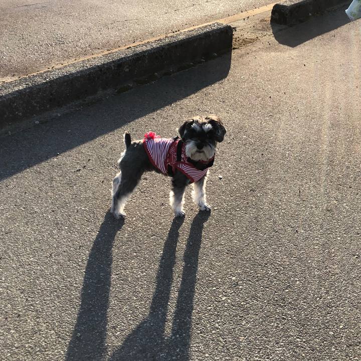 F8b42187 b814 468b b8e7 0ed2965761fa 1520121233813