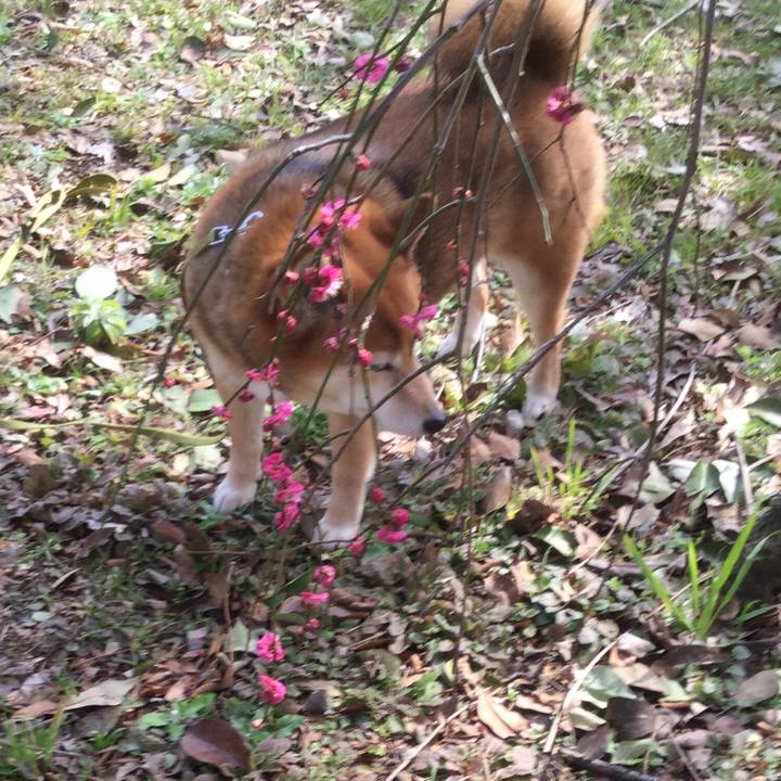 F8b42deb 6687 48fe bc2d 27242cd3cfd6 1581680161015