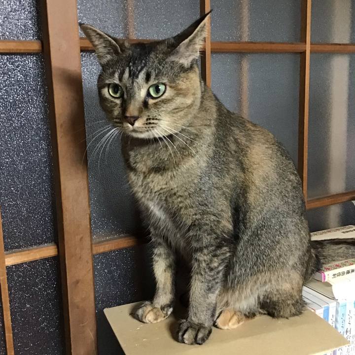 F8b48bbb 8591 49e1 9360 ba012738bc46 1629672485449