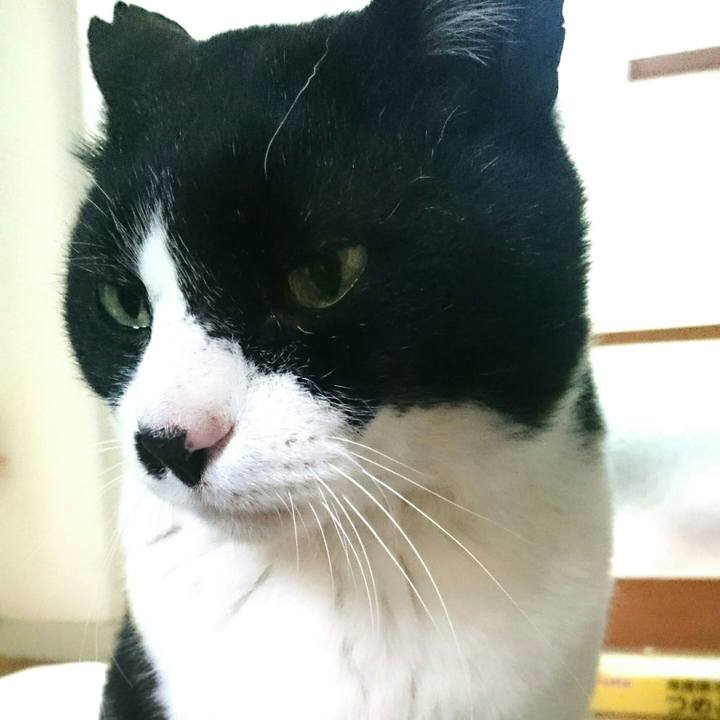 F8b4e4af b3e4 4683 8069 f15d3624cb53 1523402267197