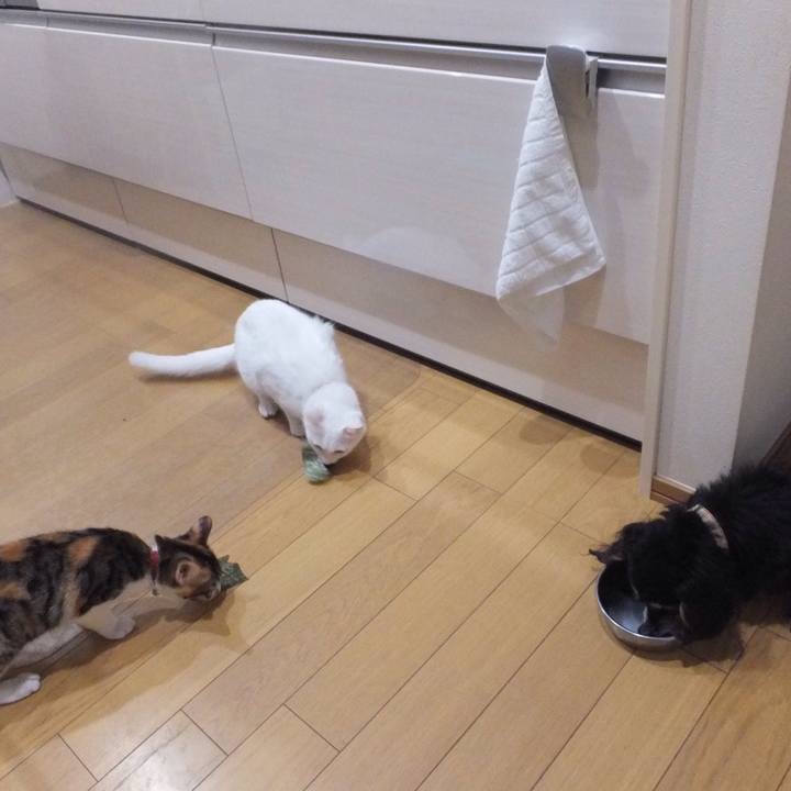 F8b52002 6add 498e 9e74 2d271eba6dcd 1654563904955