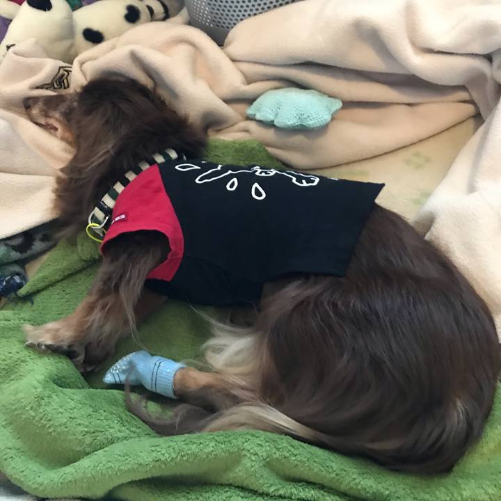 F8b54e33 773a 4200 b9e1 4fb08218d141 1582088164509