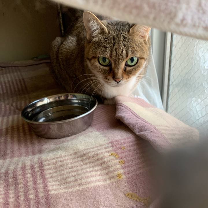 F8b54e36 41b4 41f2 a4c3 90cc33eebbda 1552605983553