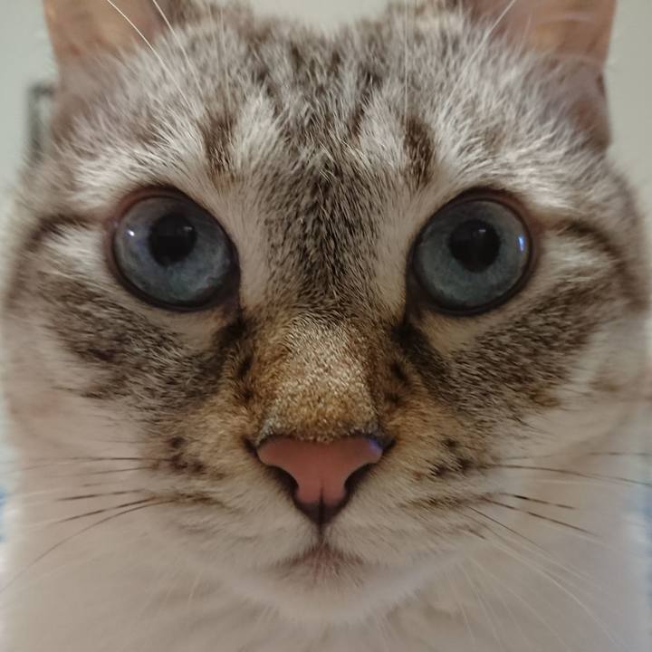 F8b55068 1de7 4f97 9128 06732b9e4c90 1602322861512